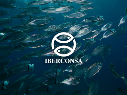 iberconsa-caso-de-exito-libra-erp