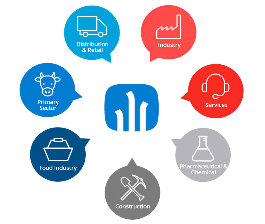 sectors-libra-erp-en